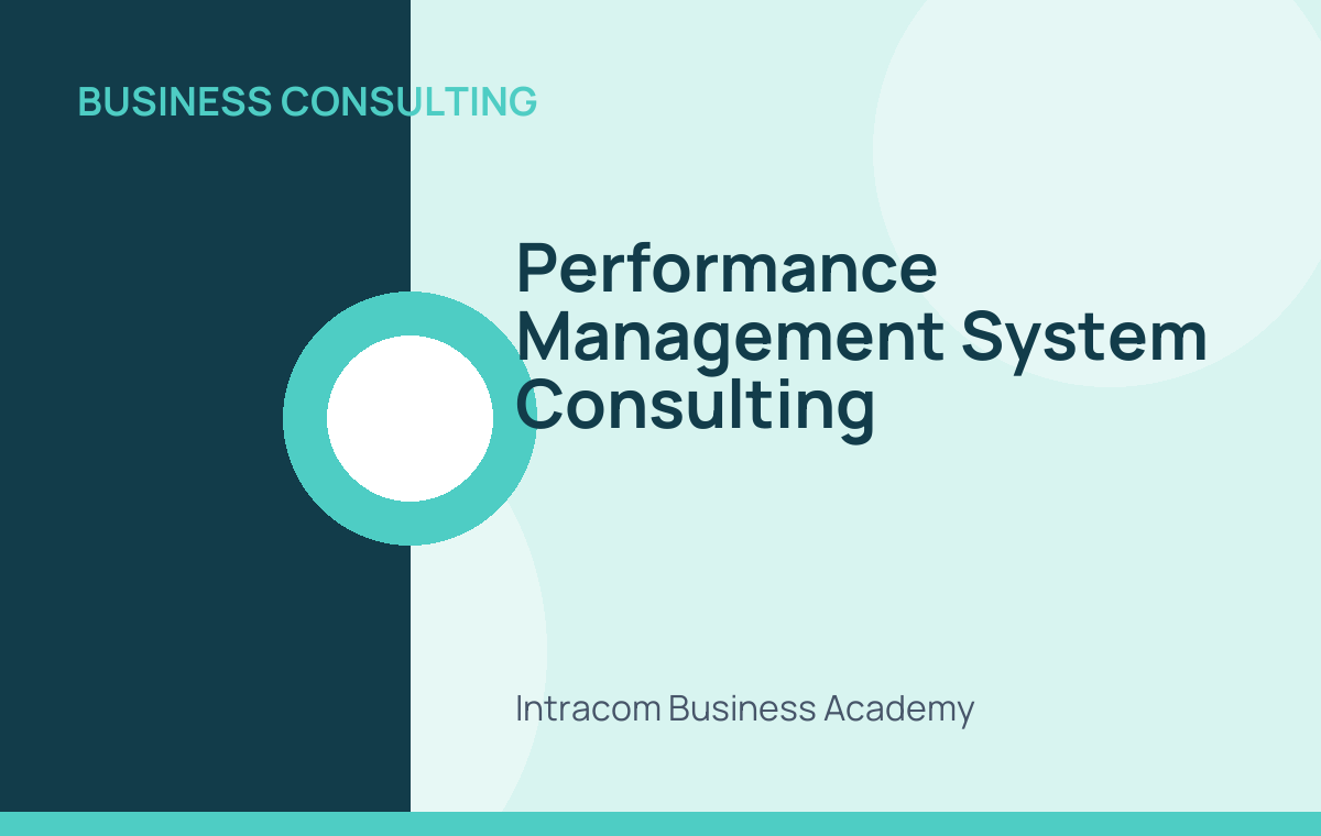 Performance Management System Consulting